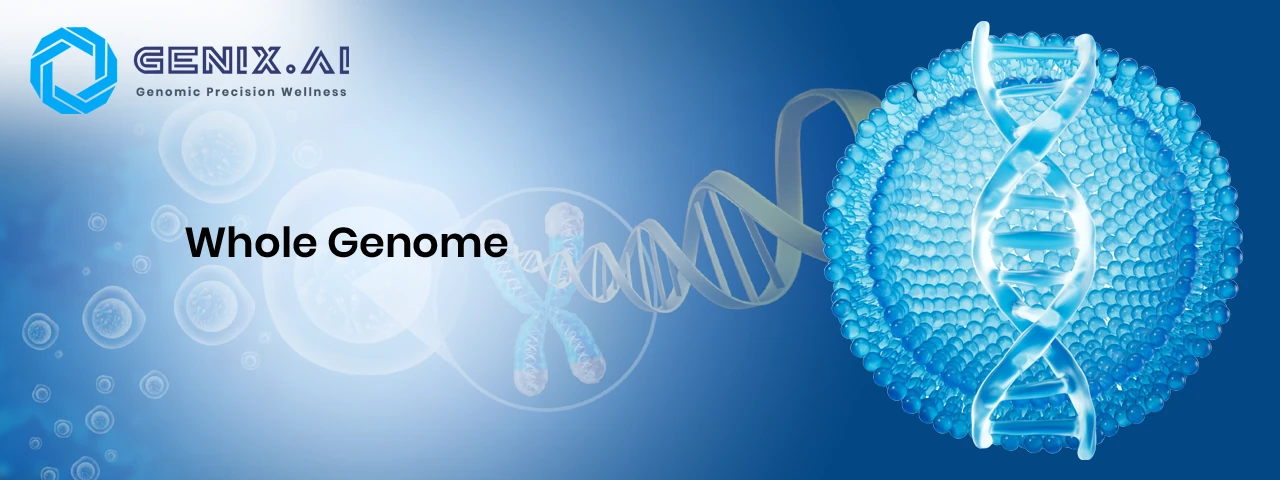 Whole Genome Sequencing (WGS) Analysis: The Complete Guide to AI-Powered Genomic Insights