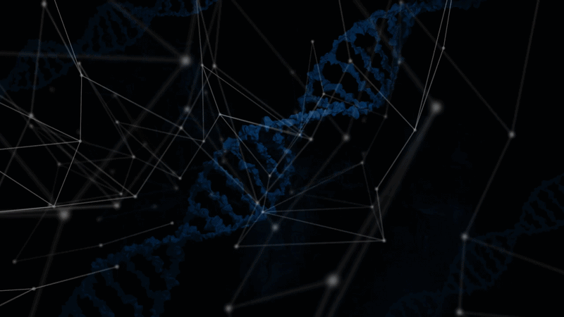 DNA Animation