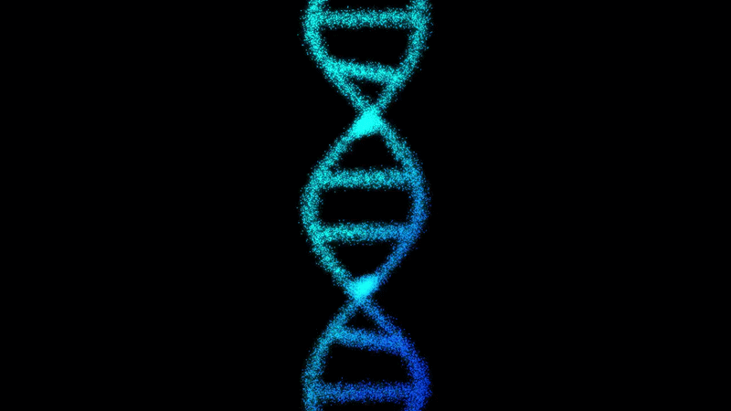 DNA Animation
